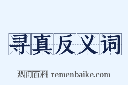 寻真反义词是什么意思的图片